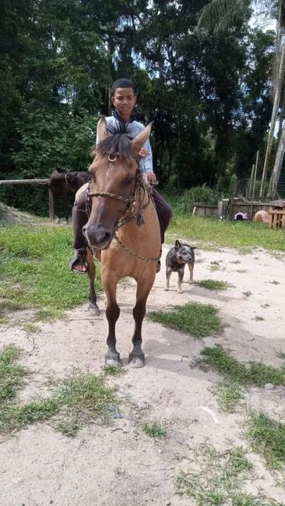 Pitiso 1.500 - Foto 3