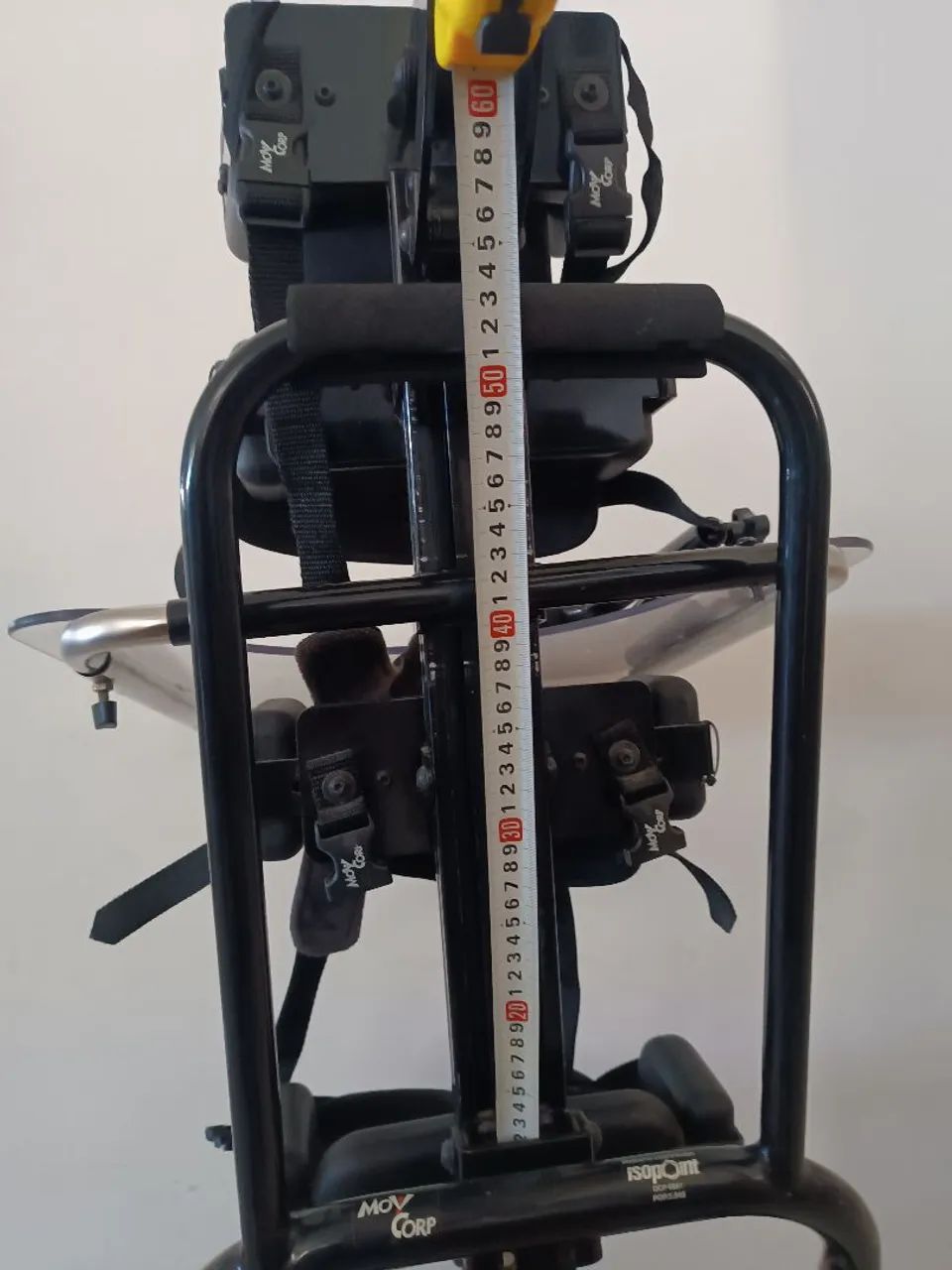 Parapodium  - Foto 5