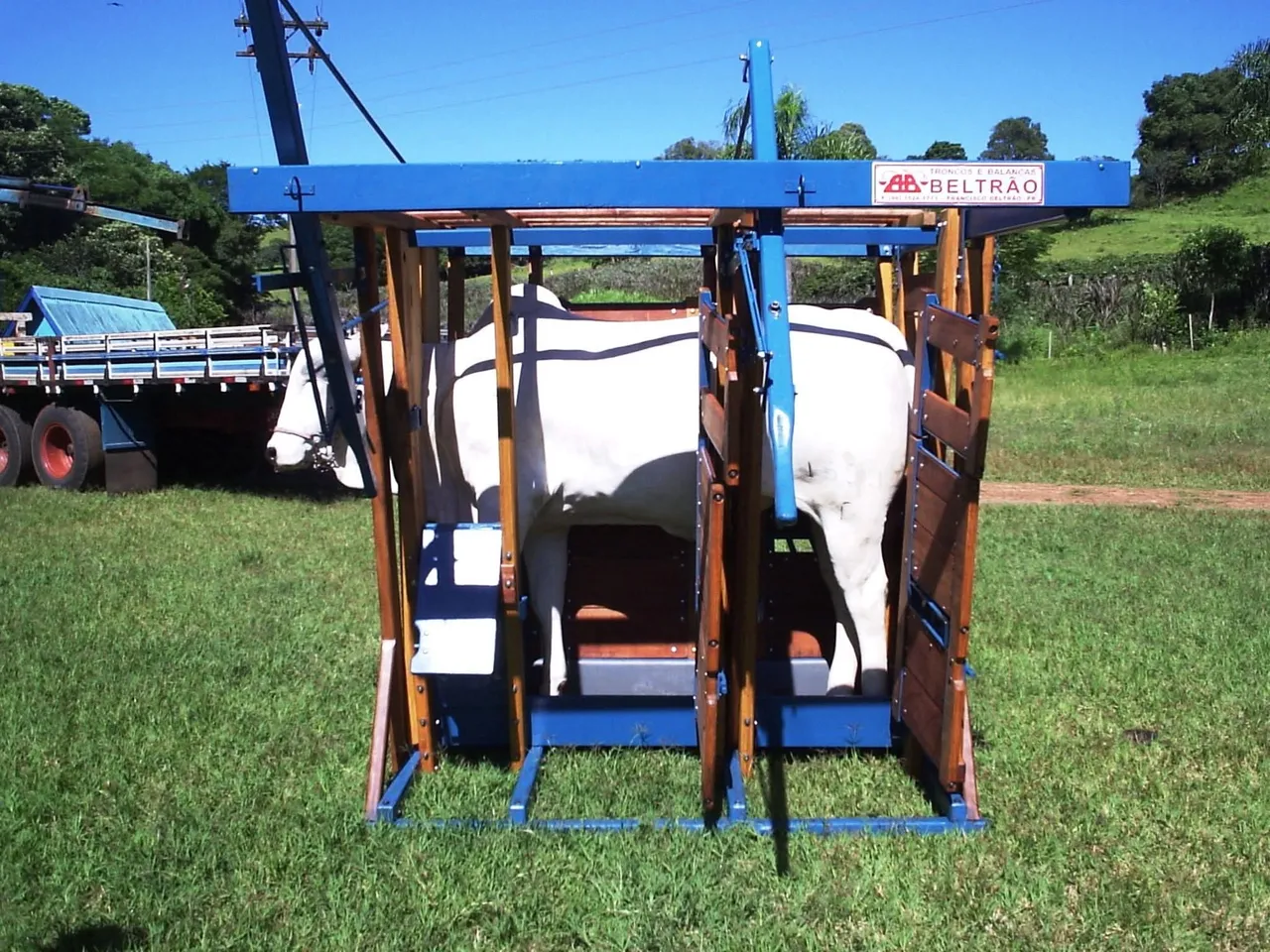 Tronco para manejo de gado AB Beltrão
