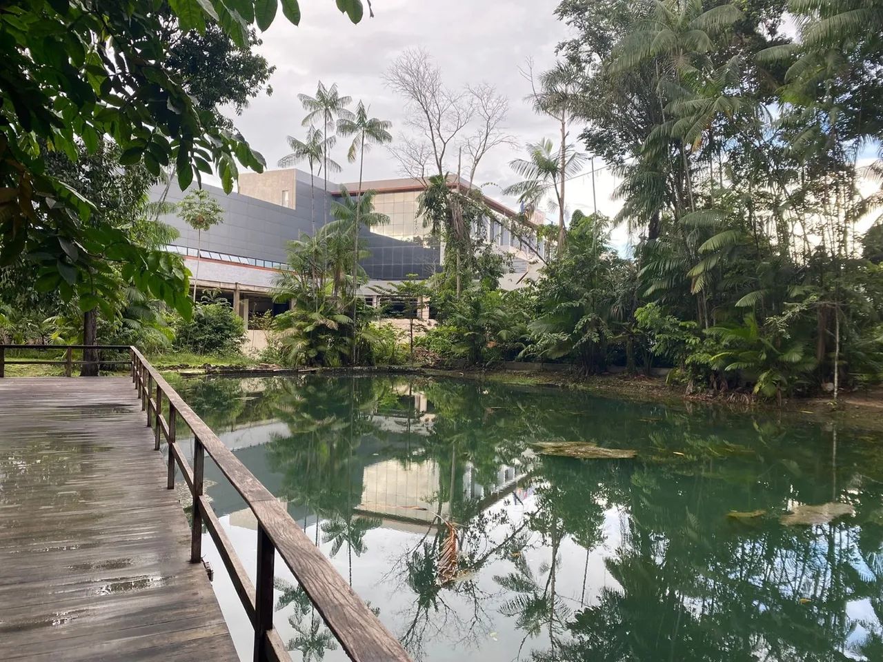 COP 30 Ap 2/4 com sacada  - Foto 8