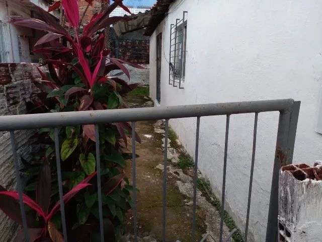 Foto - Recife - Cordeiro