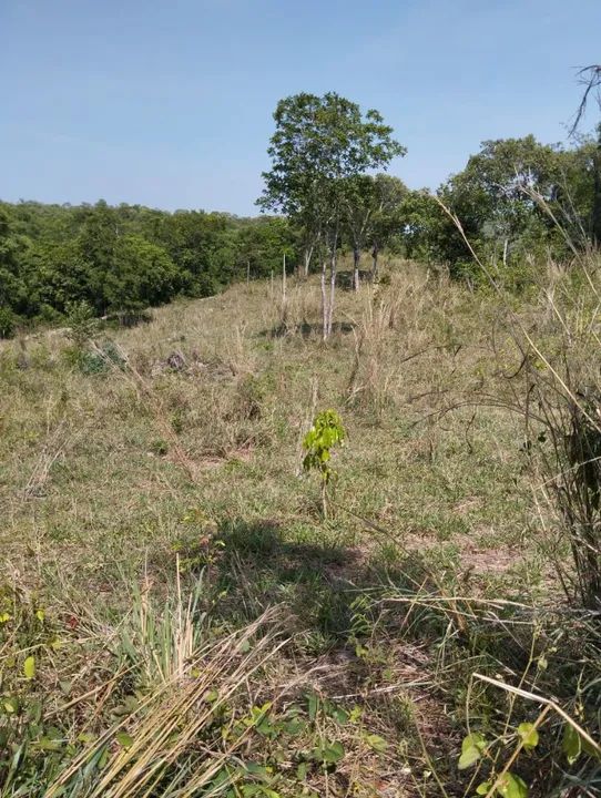Chácara 3 alqueires (rio do peixe) - Foto 4