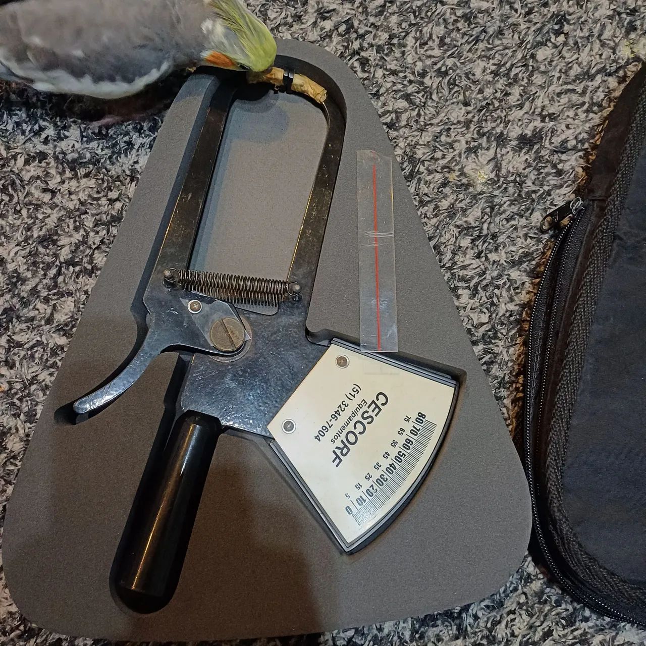 Paquímetro para Medição de Espessura - CESCORF - Foto 2