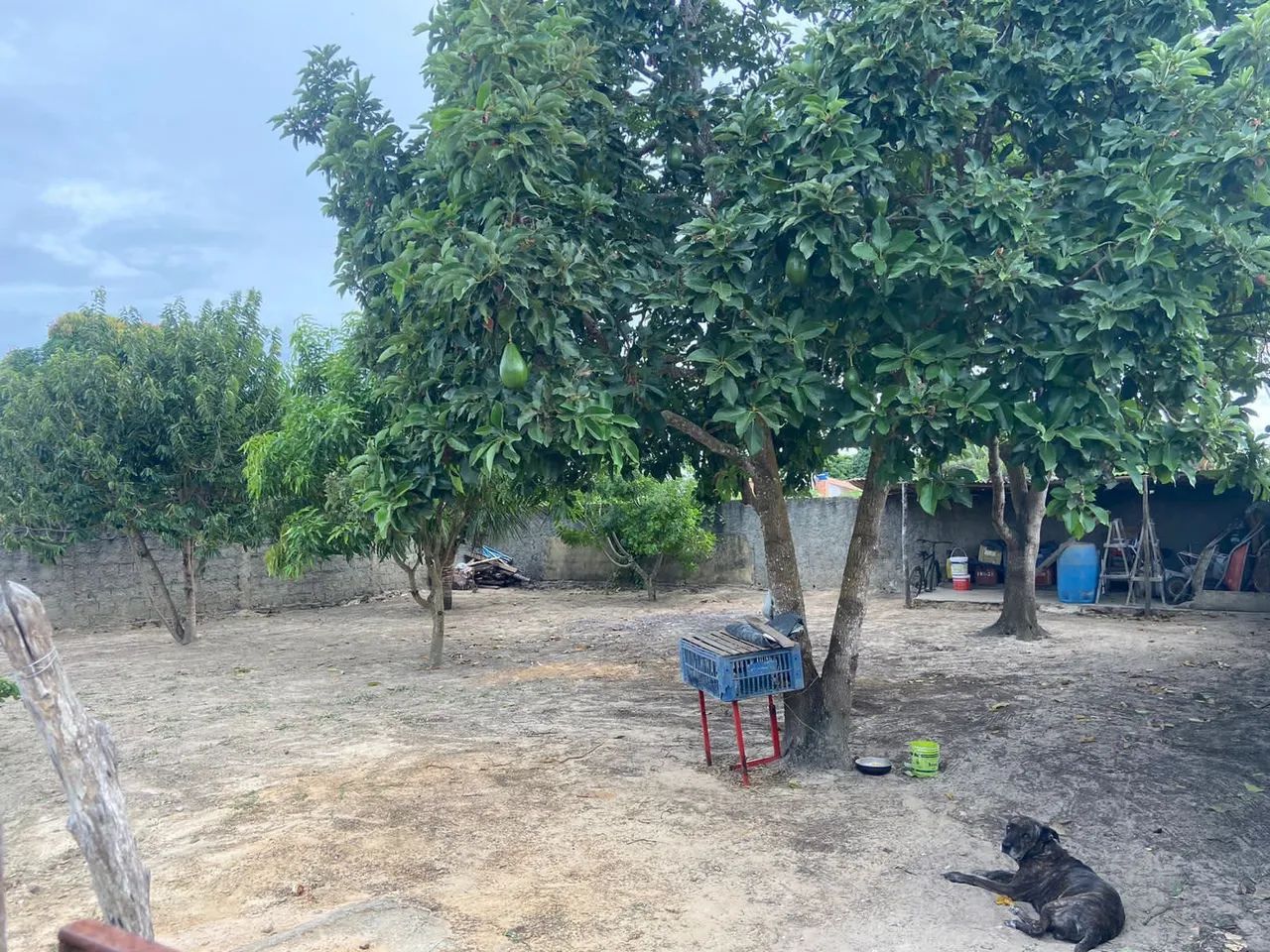 Chácara em salgado  - Foto 6