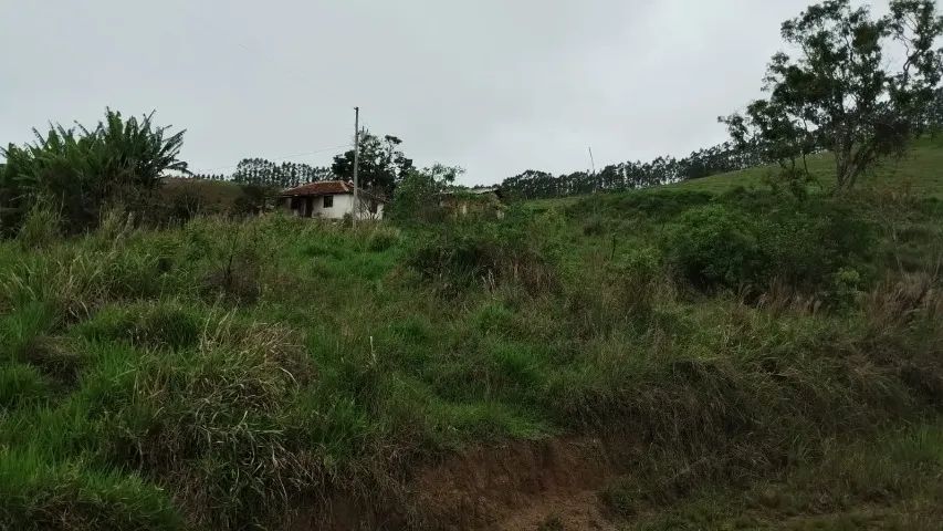Vendo sítio, 14,6 hectares quase 5 alqueires - Foto 3