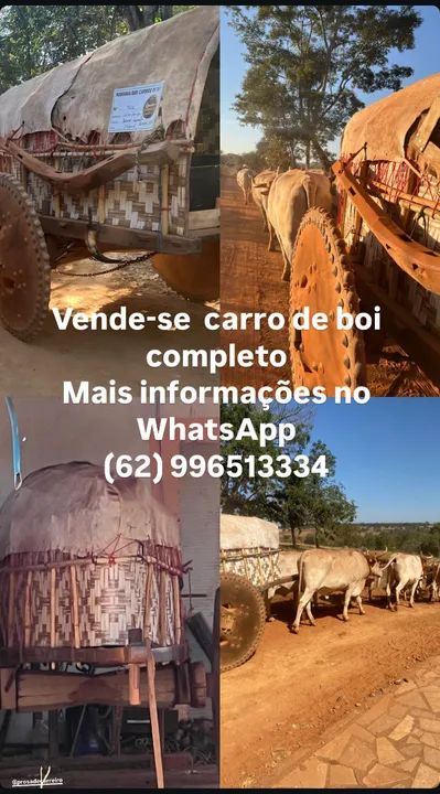 Carro de boi 