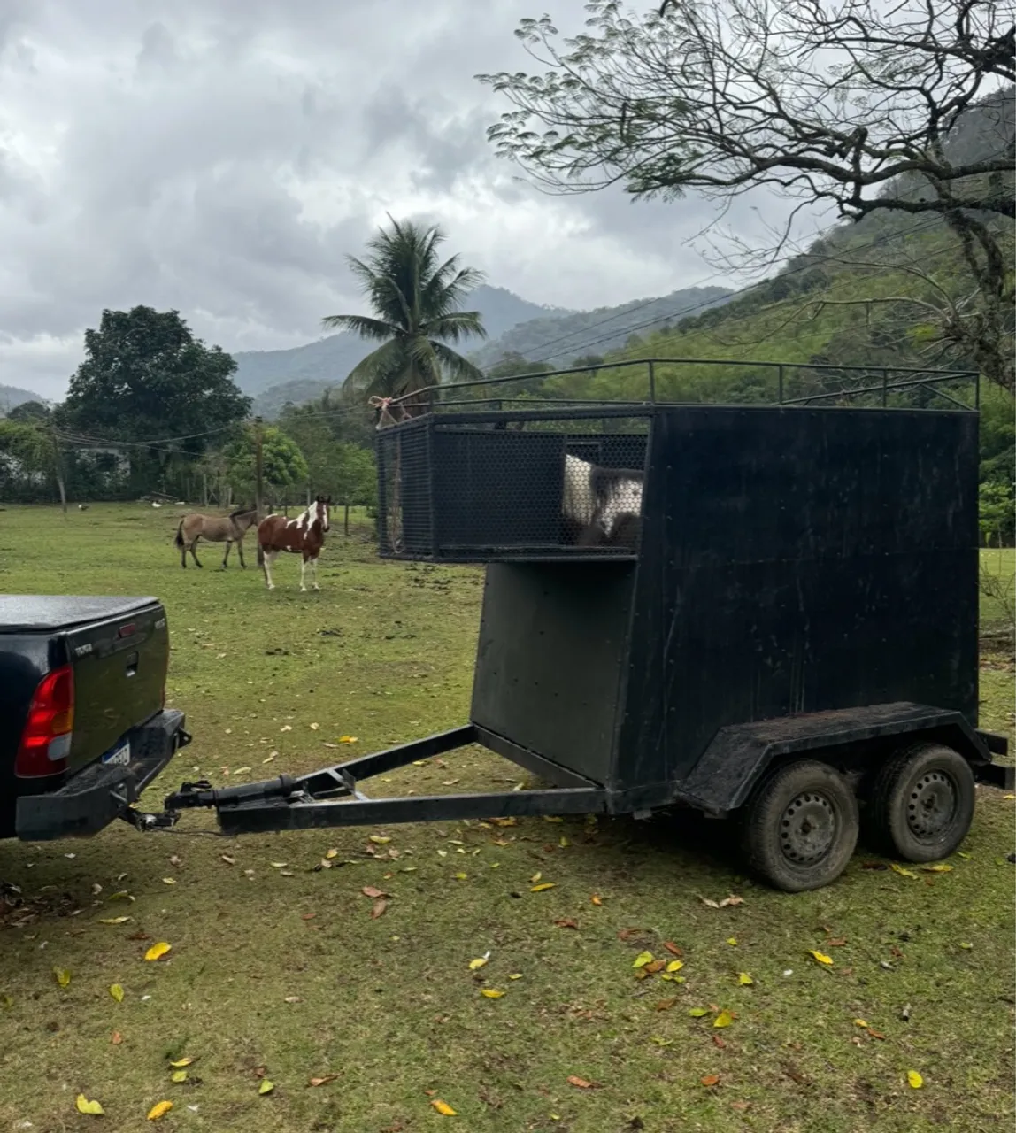 Reboque Carretinha Vendo ou troco