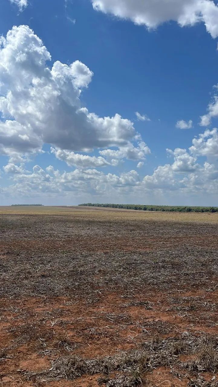 Fazenda arrendamento 630 hec em nova Motum MT. - Foto 4
