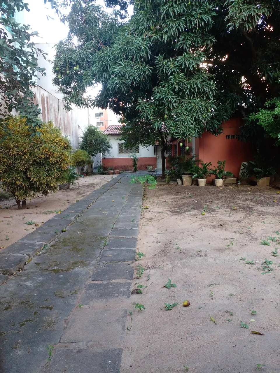 Imóvel para venda casa com pomar em Jardim Camburi - Vitória - ES