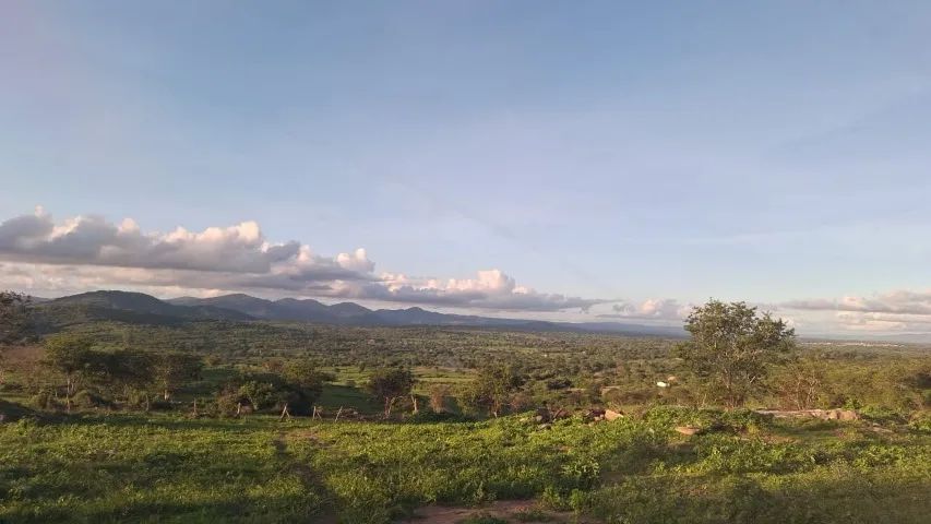 Fazenda em Altinho/PE à Venda (FA0197-DV) - Foto 4