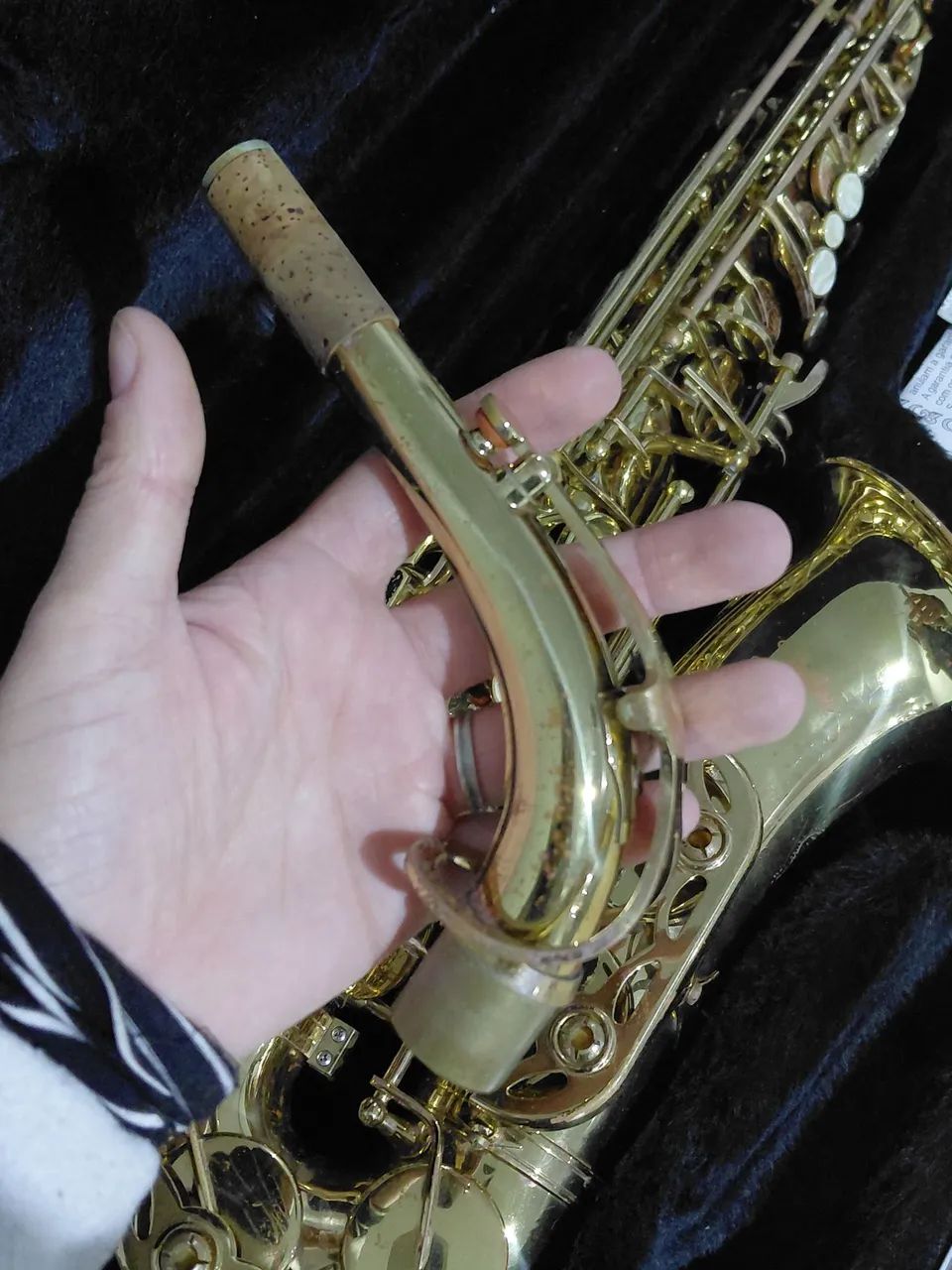 Saxophone Alto Shelter - Foto 2