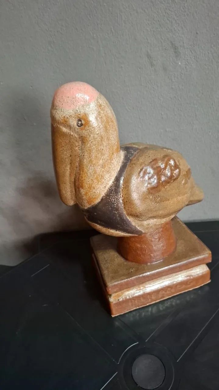 PELICANO FRANCISCO BRENNAD  - Foto 2