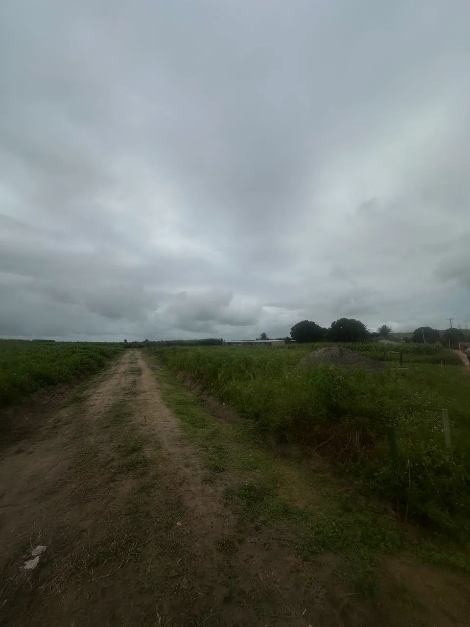 Lotes em junqueiro 15 mil OPORTUNIDADE!! - Foto 2