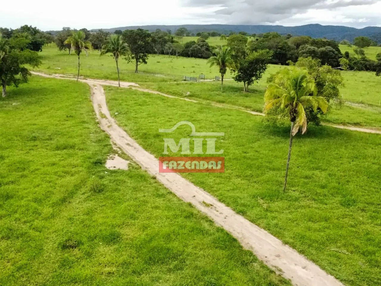 Fazenda 169 Alqueires (817,96 hectares) Ipameri - GO - Foto 5