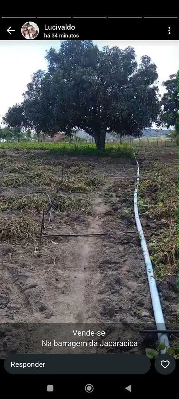 Terreno sítio barragem  - Foto 2