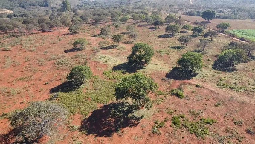 Fazenda 121 hectares à venda  - Foto 2