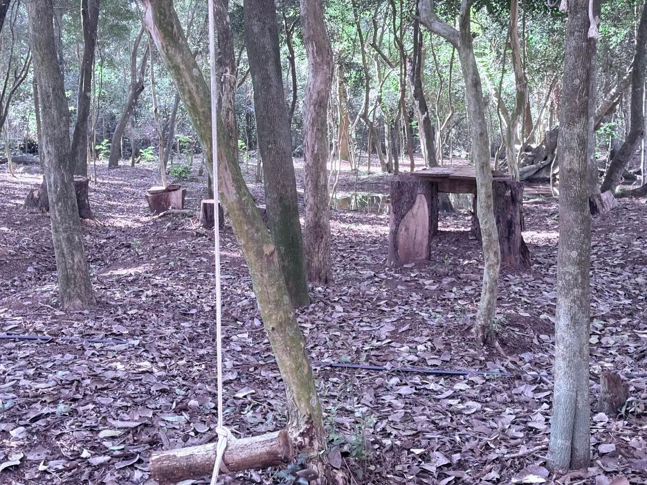 Chácara interior de marechal Cândido Rondon 
