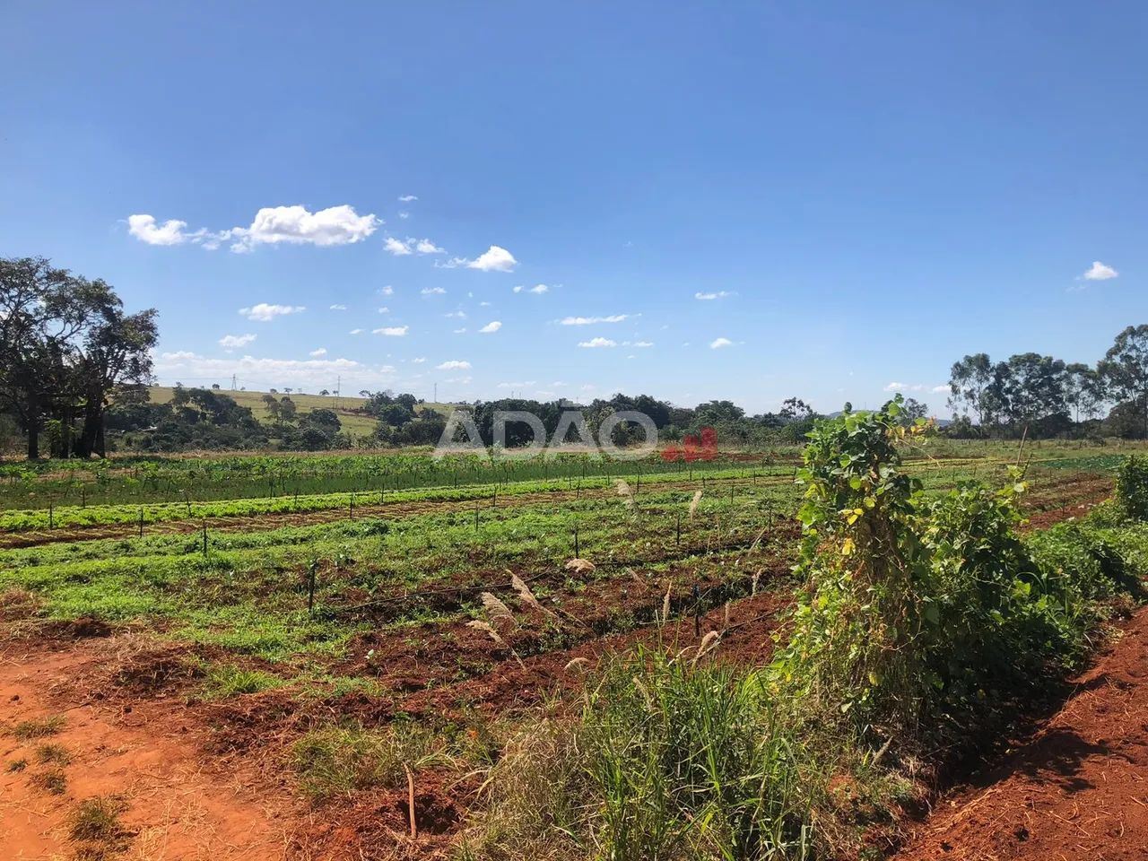 Área com 114.000 saída da Ethernit alta valorização - Foto 5