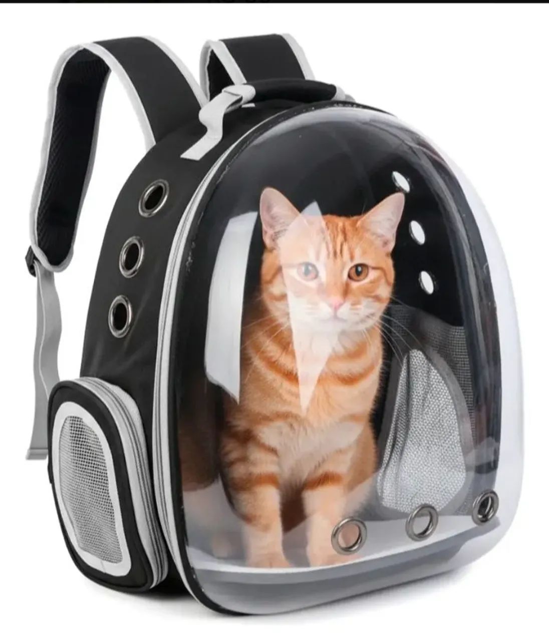 Mochila pet