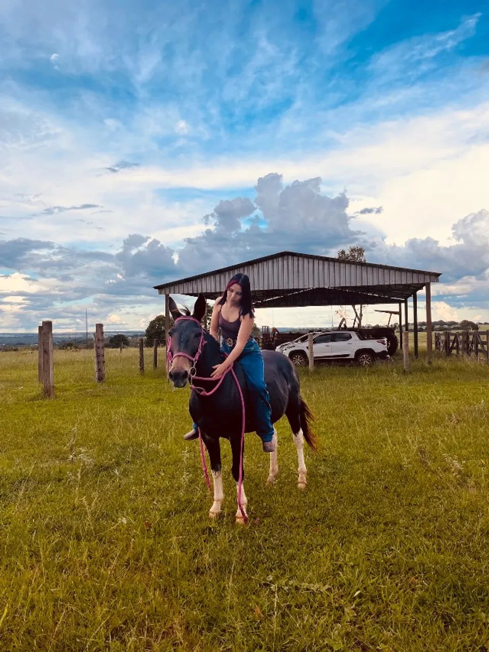 Burro manso calçado - Foto 4