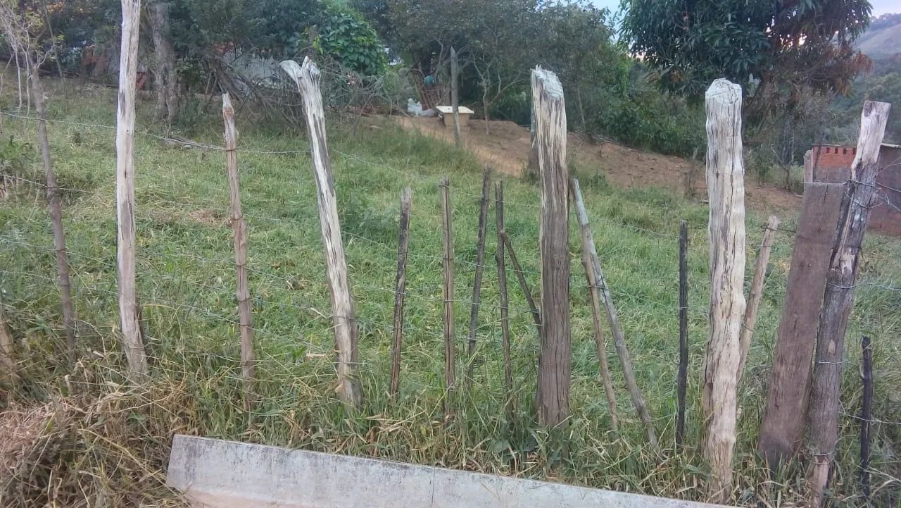 Terreno à venda em Raposos 30 hectares - Foto 5