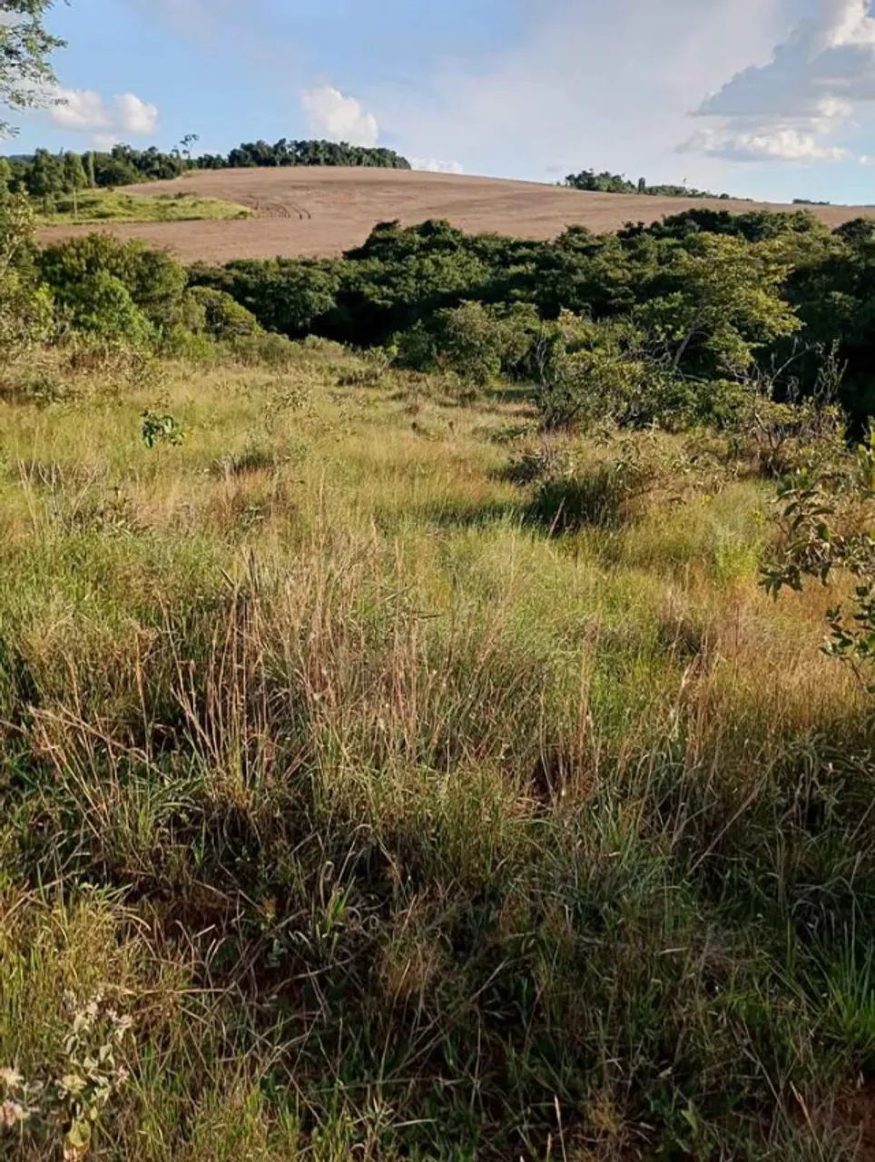 Sítio 10 Hectares com Cachoeira e Rio  - Foto 3