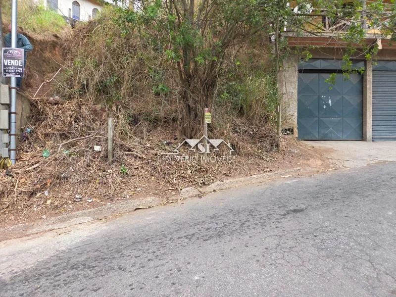 Terreno- Petrópolis, Roseiral - Foto 3