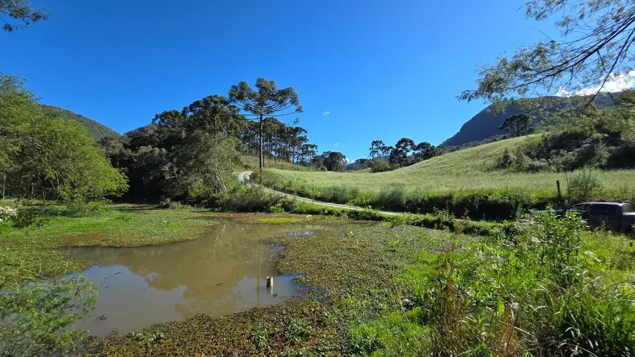 Terreno com 40.000m² em Rio Rufino - Foto 3