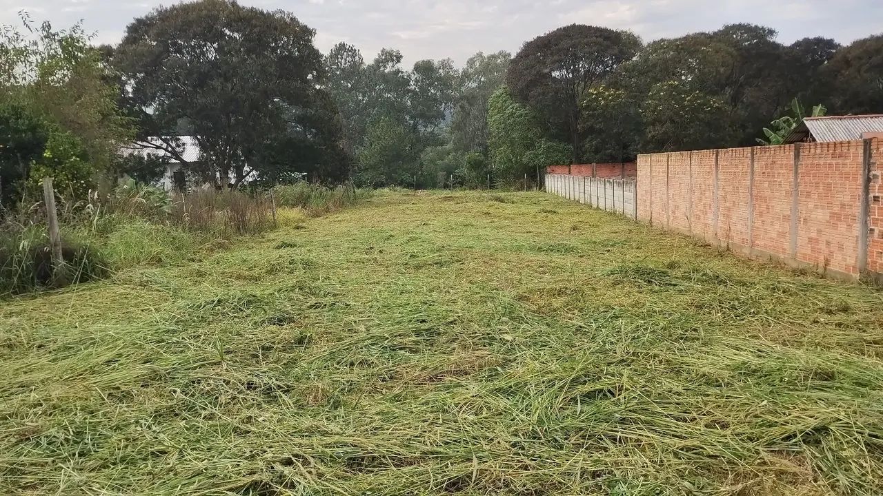  jardinagem moro em ponta grossa  - Foto 2
