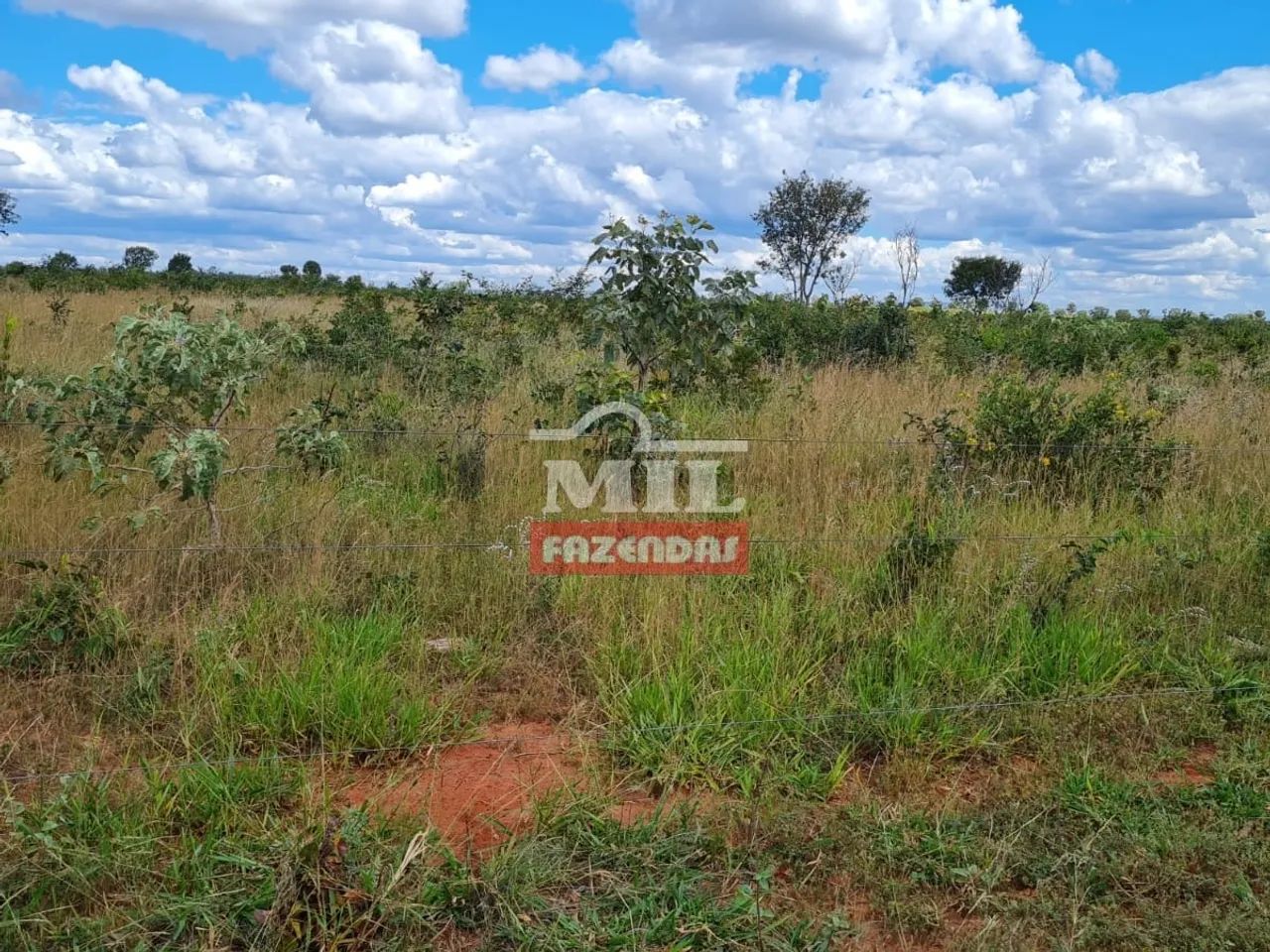 Fazenda Barata com Lavoura em Mambaí-GO. - Foto 2