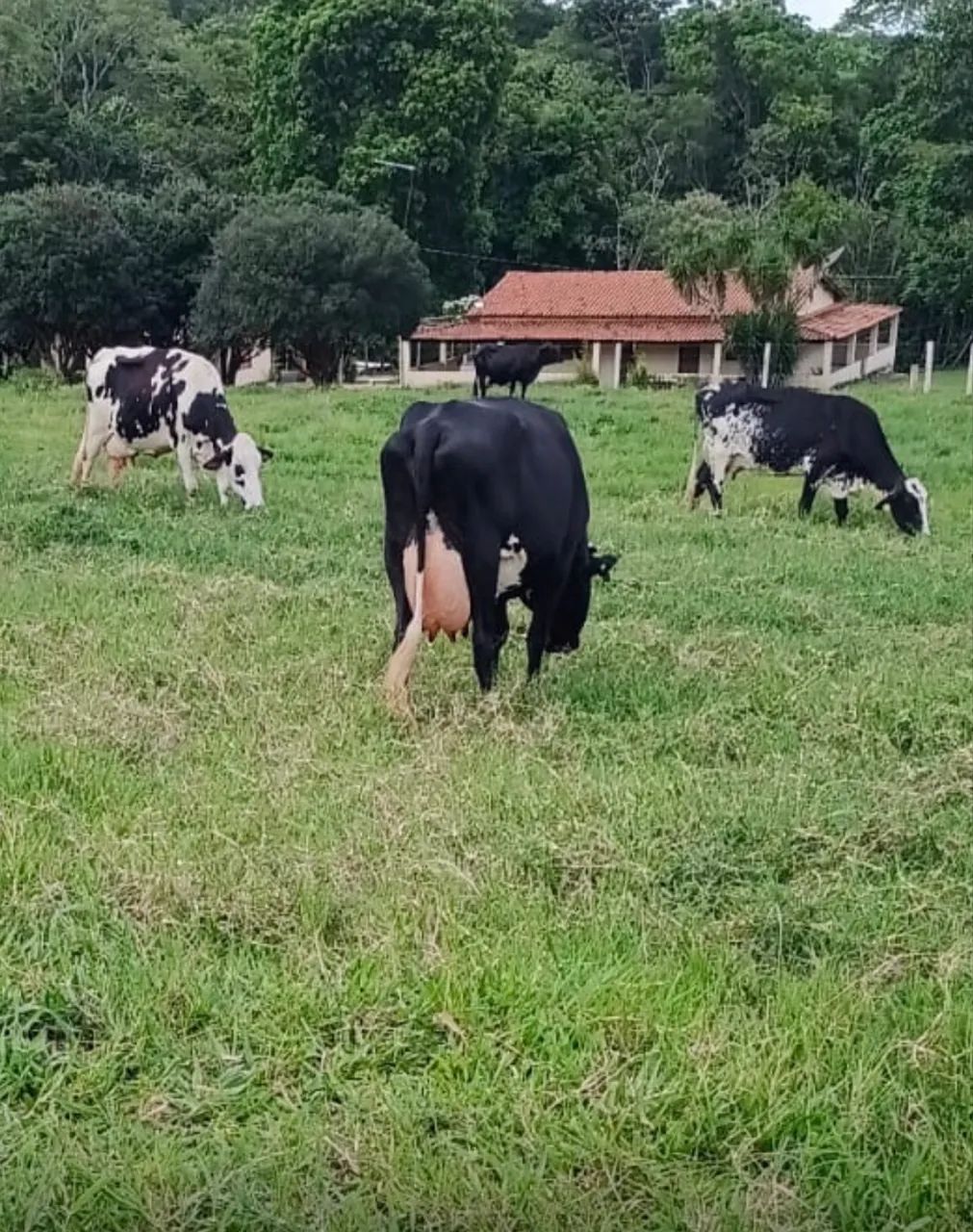 Trabalhador Rural