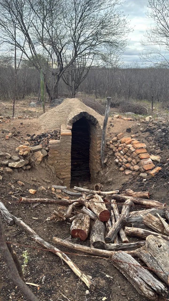 Sítio a venda em sertania Pernambuco  - Foto 4