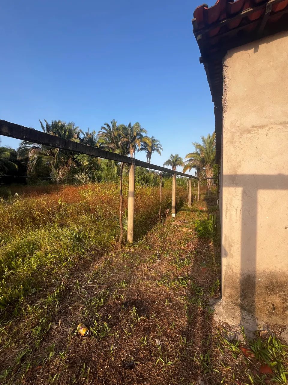 Terreno no Cajueiro  - Foto 2