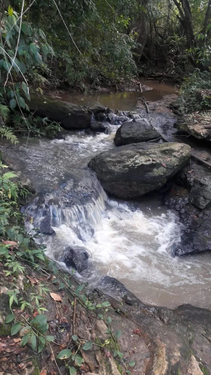 Chacara em Avelinòpolis com corrego - Foto 3