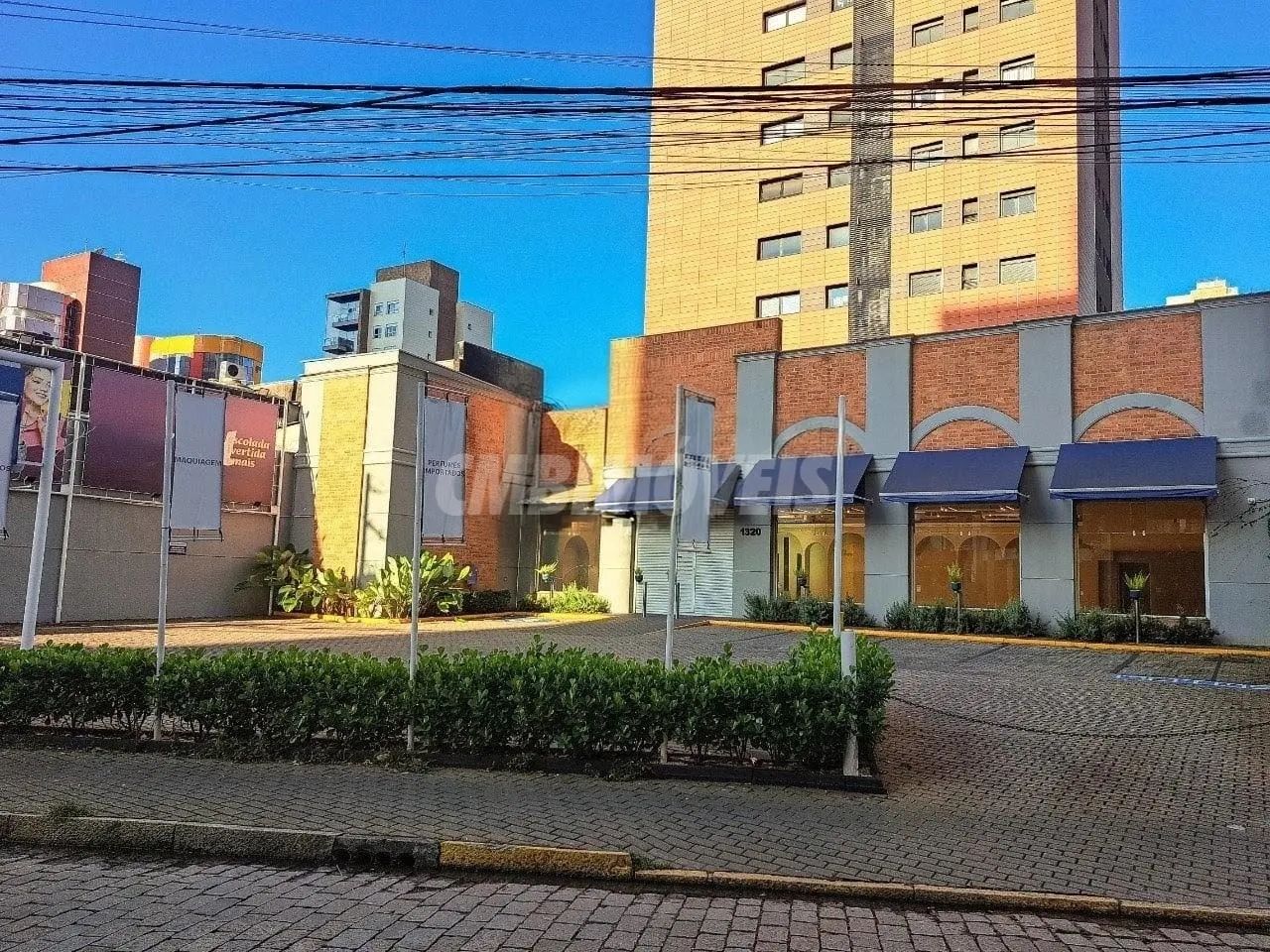 salão - Cambuí - Campinas