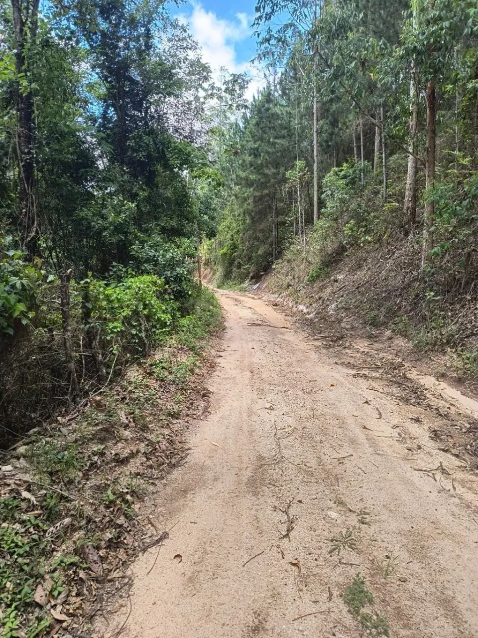 Terreno em Arace, Pedra Azul. - Foto 3