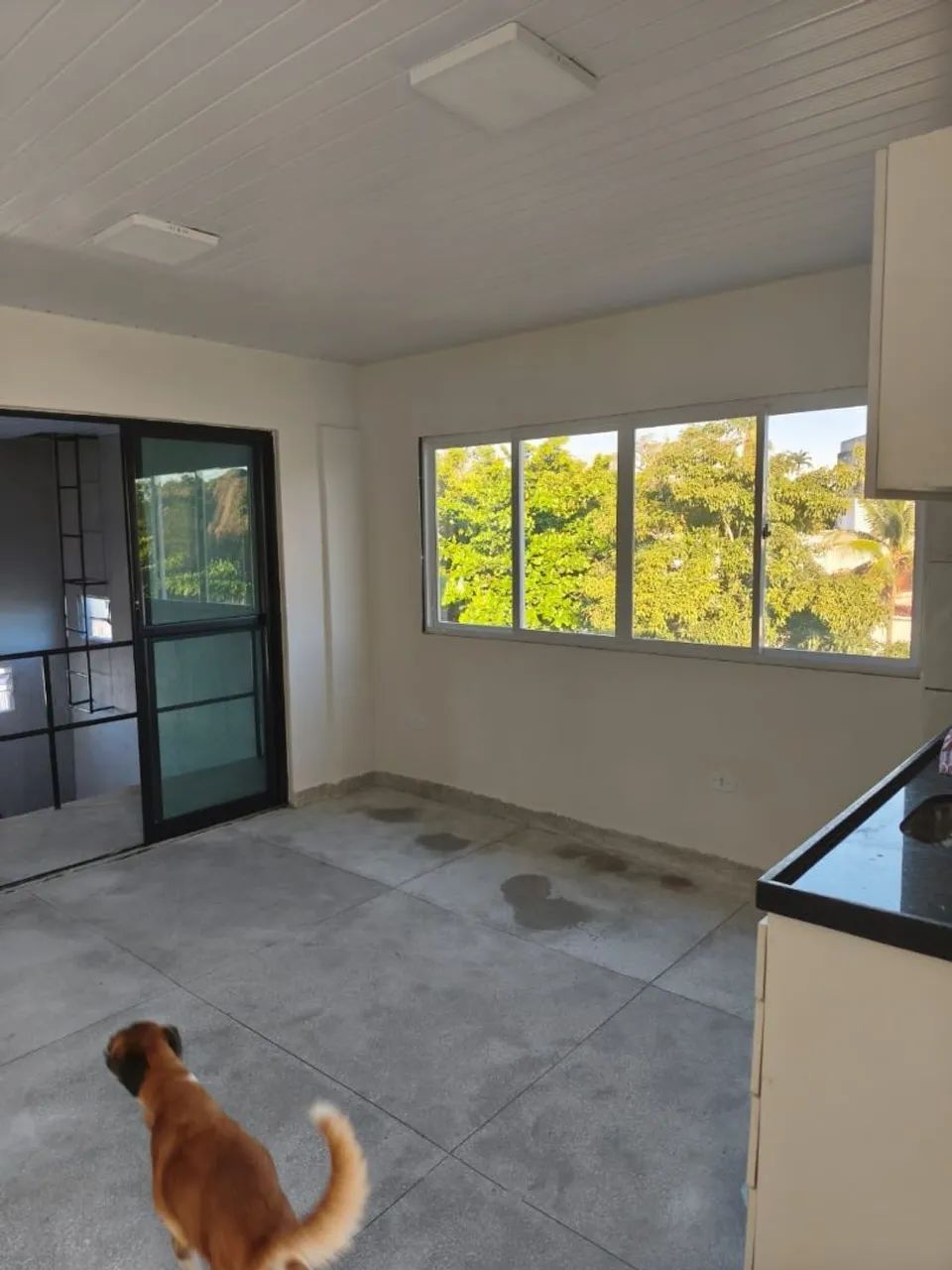 Apartamento para Aluguel - Foto 5