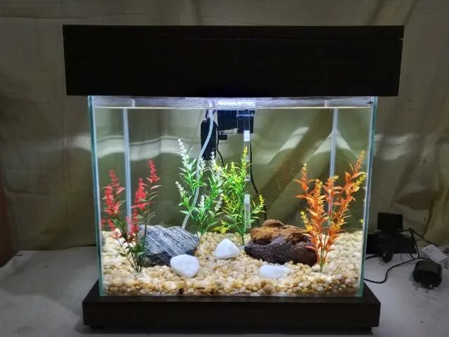 Aquário Novo e Completo 30l - Foto 6