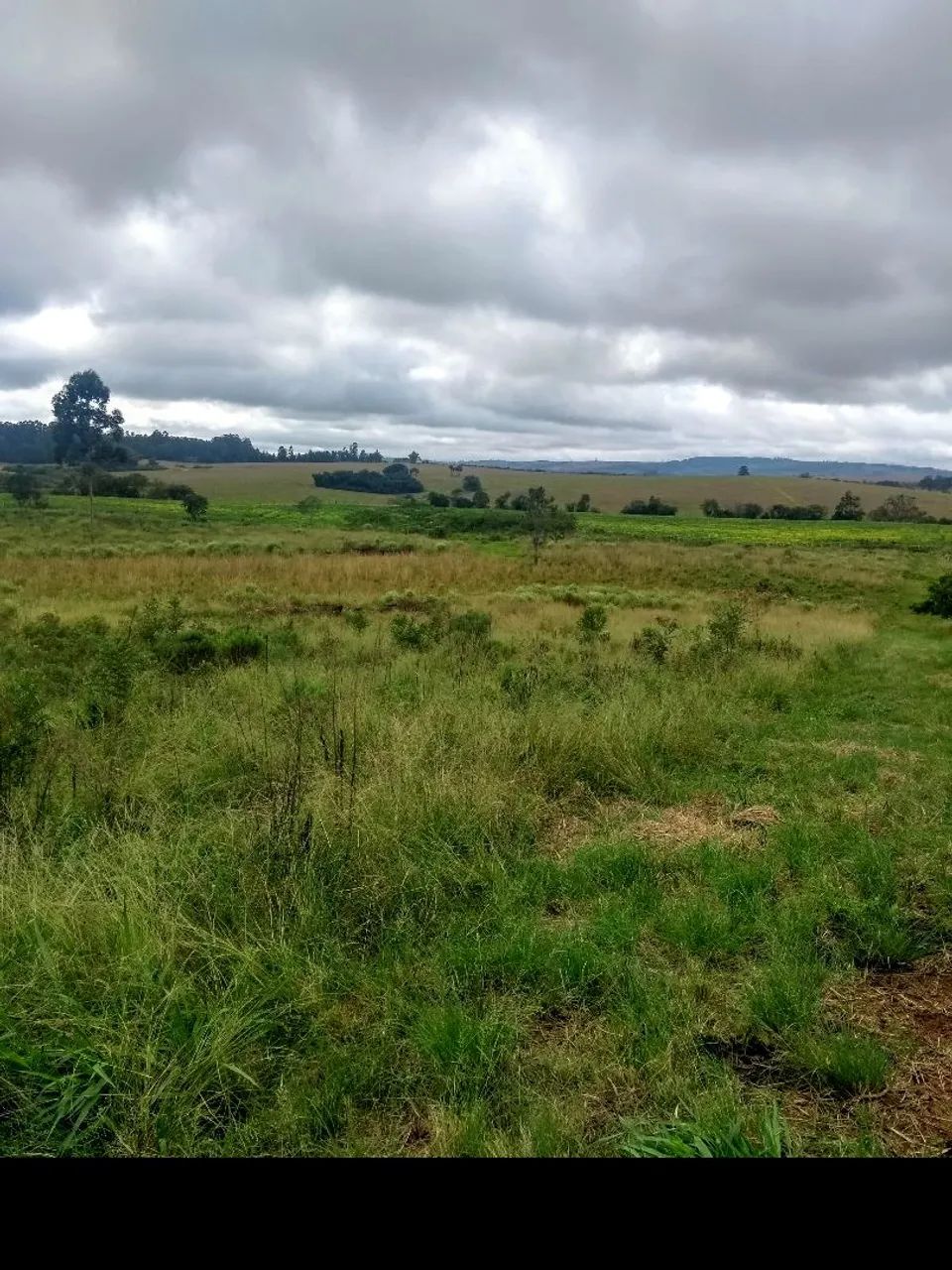 Campo com 14 hectares  - Foto 14