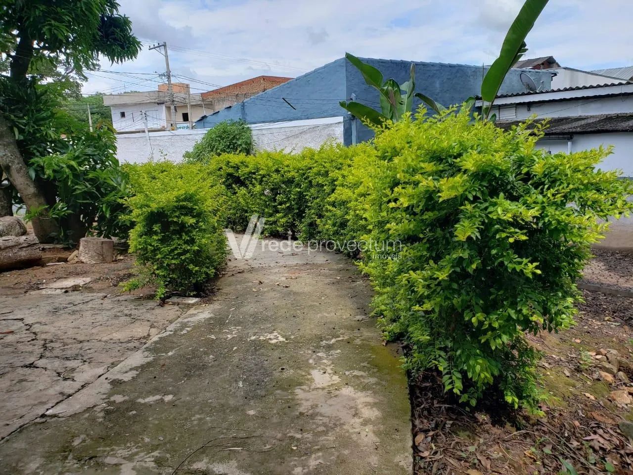 casa - Jardim Conceição - Campinas - Foto 3