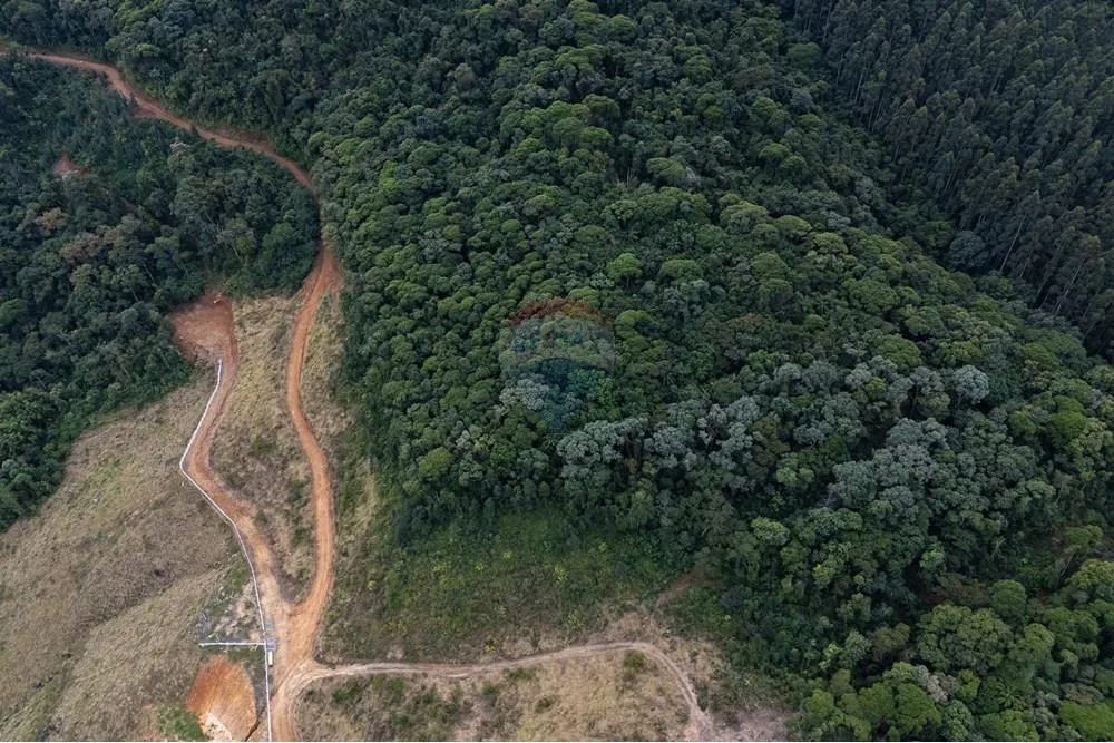 Seu Refúgio Ideal no Campo em Vargem do Cedro - Foto 3