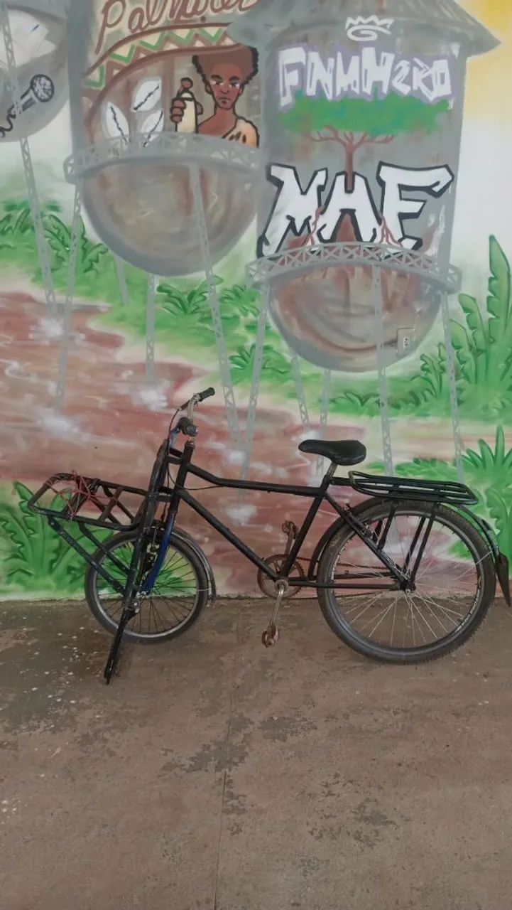 Bicicleta cargueira 