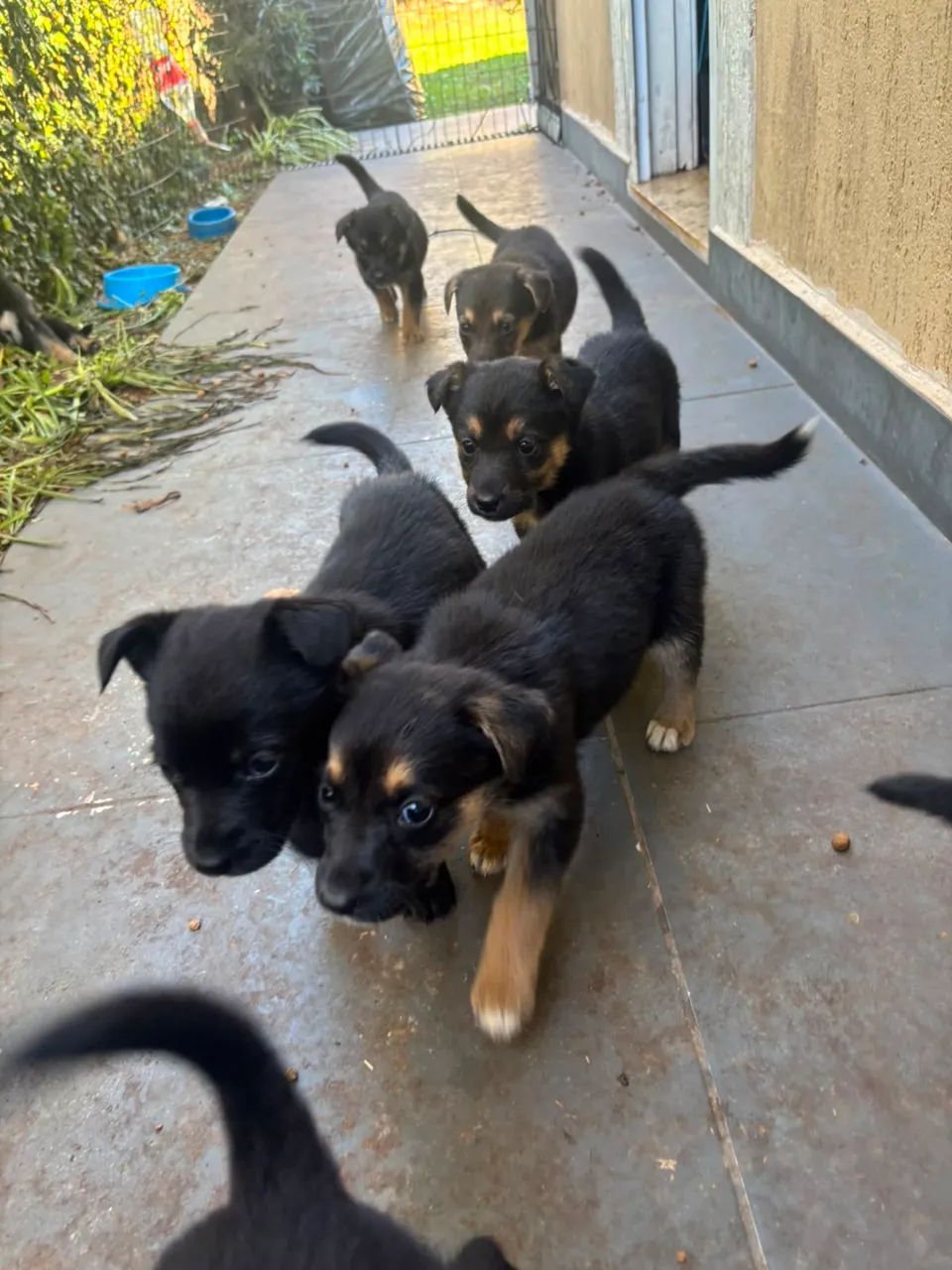 vende-se  - Foto 5