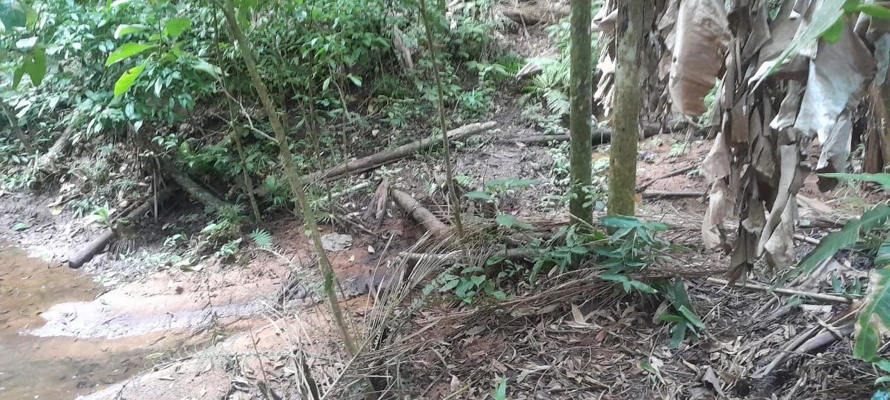 Terreno em Paraju, Domingos Martins-ES  - Foto 4