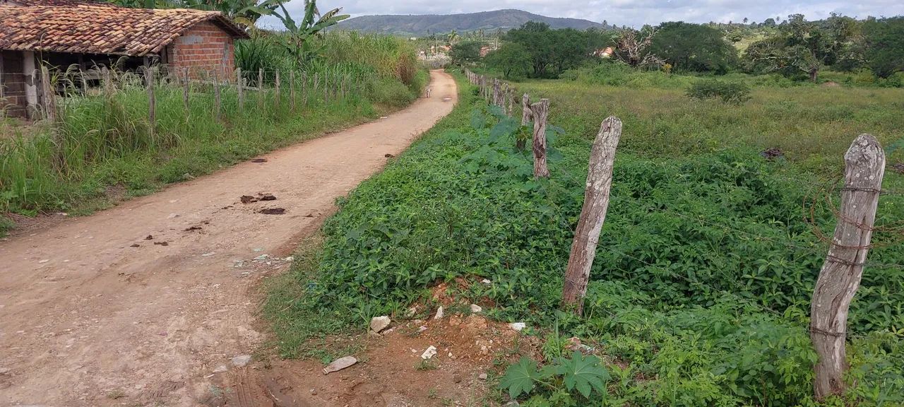 Vendo esse Terreno 7×25 em Campo do Brito.  - Foto 2