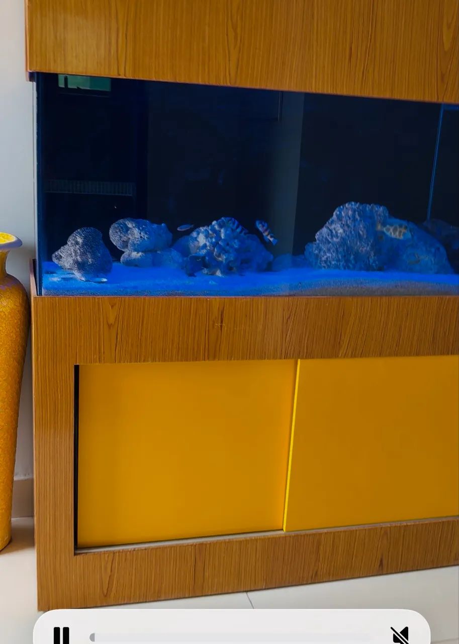 Aquário somente dinheiro , pix NÃO aceito troca ! - Foto 4