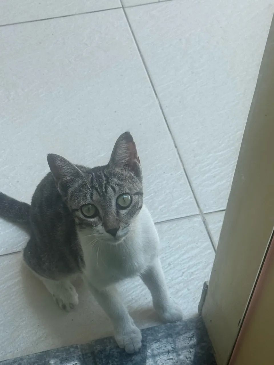 Doação  - Foto 2