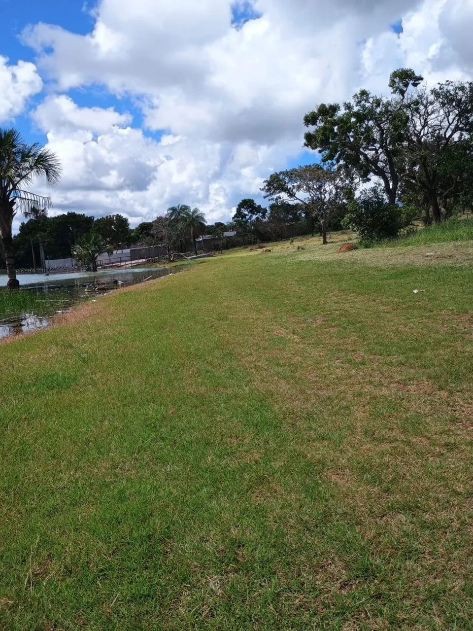 Chácara Lagoa Formosa - Planaltina Goiás  - Foto 3
