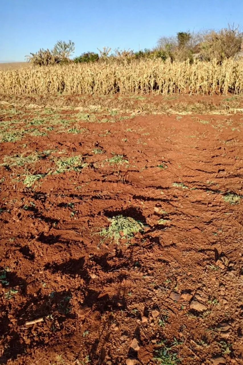 Chácara 2.200m² | 30 min de Maringá | Estudamos Permuta - Foto 3