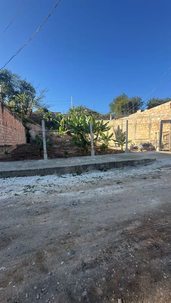 Lote - Foto 4